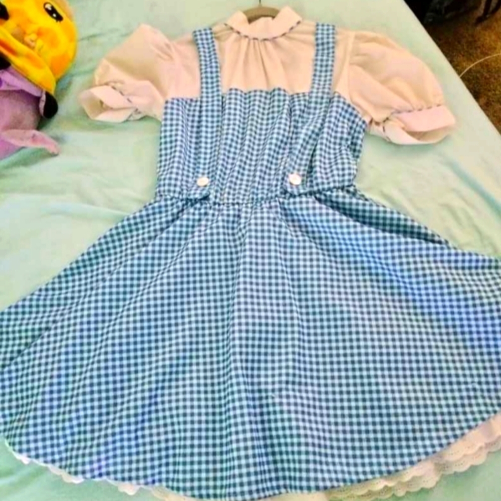 Dorothy costume